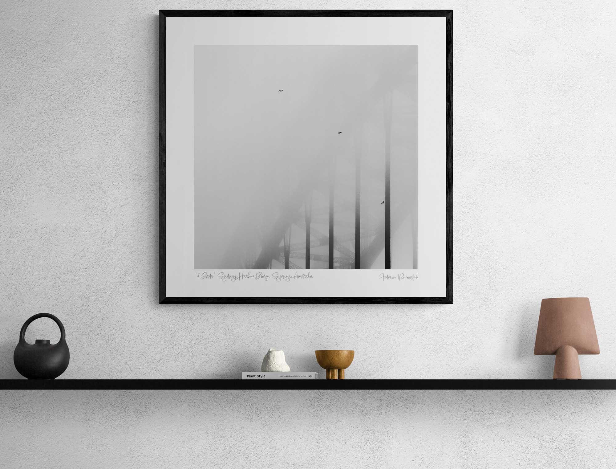 "3 Birds" Sydney Harbour Bridge, Sydney, Australia Photo Artworks