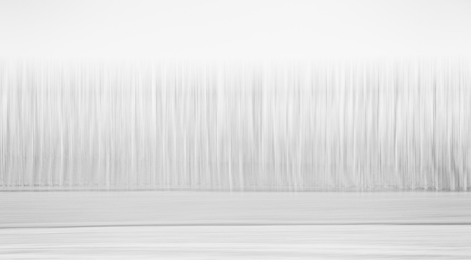 Abstract minimalist representation of a forest in Christchurch, New Zealand, with tree-like vertical lines in a gradient of white to gray.