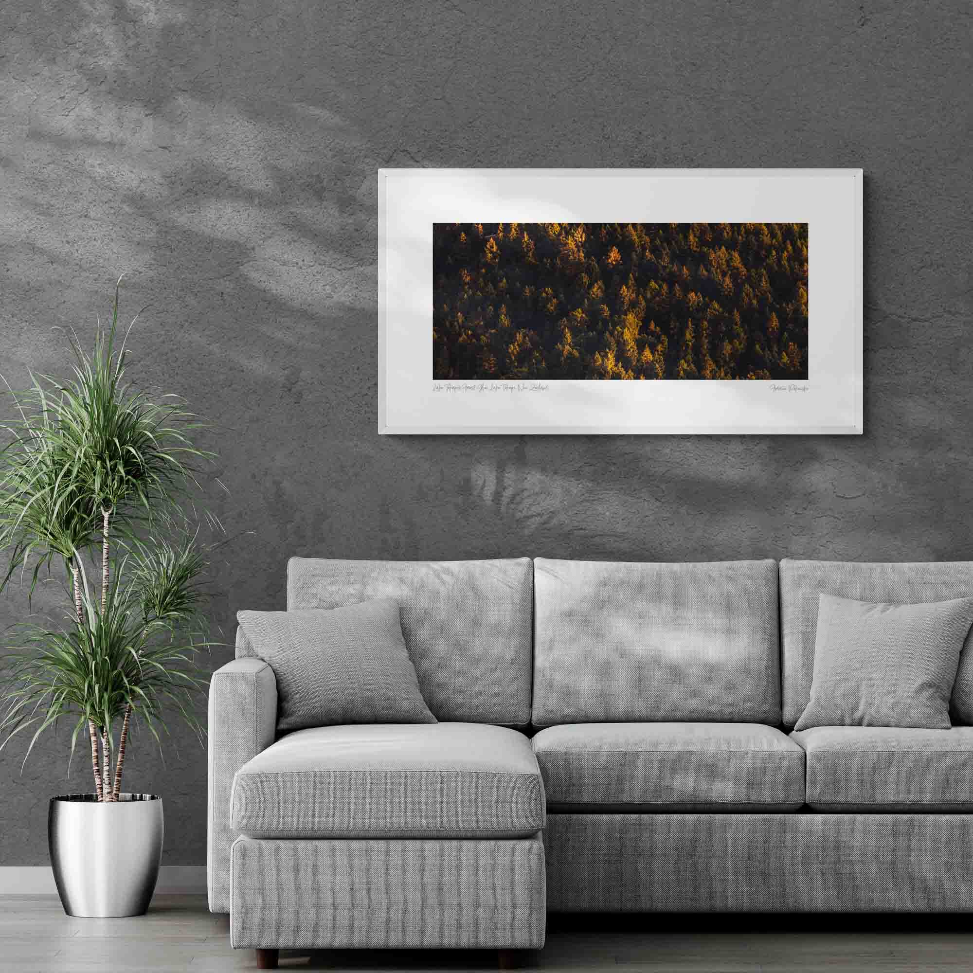 Lake Tekapo's Forest Glow, Lake Tekapo, New Zealand Photo Artworks