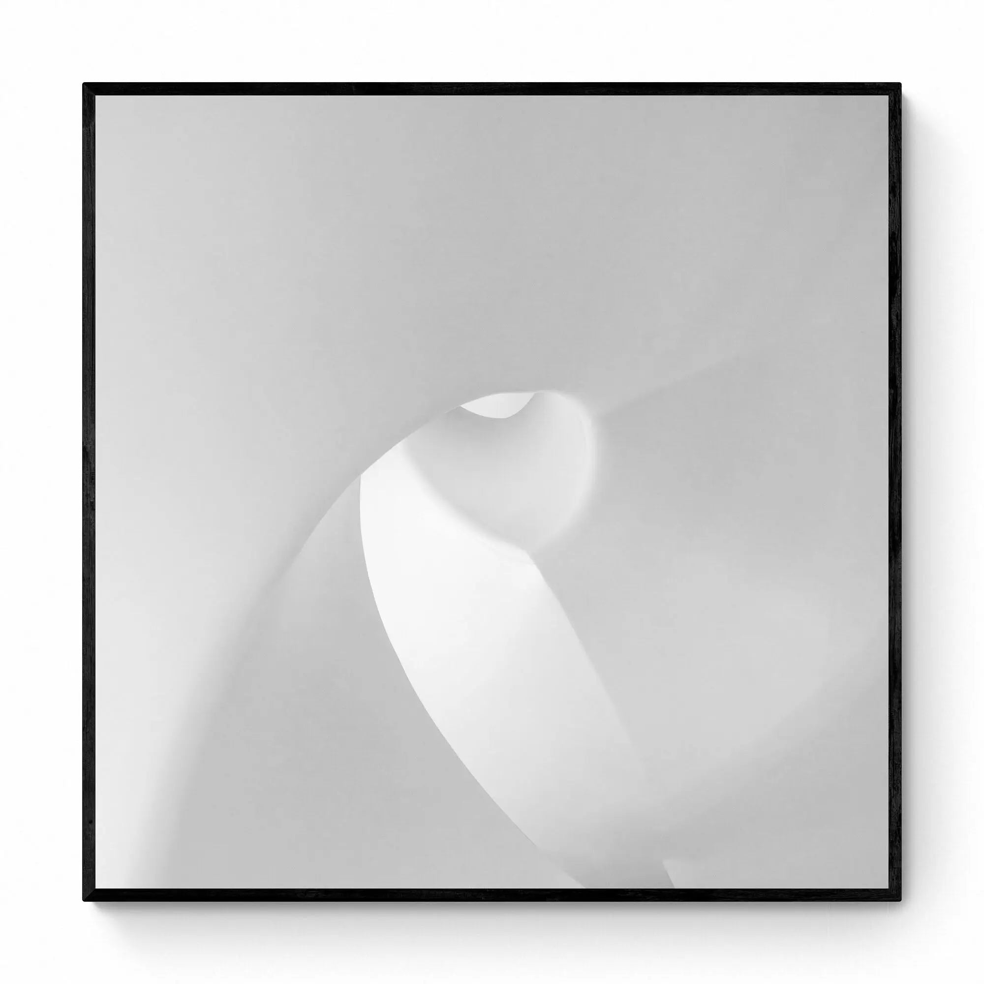 Abstract monochrome photo of soft curves and shadows within Dubai's Museum of the Future.