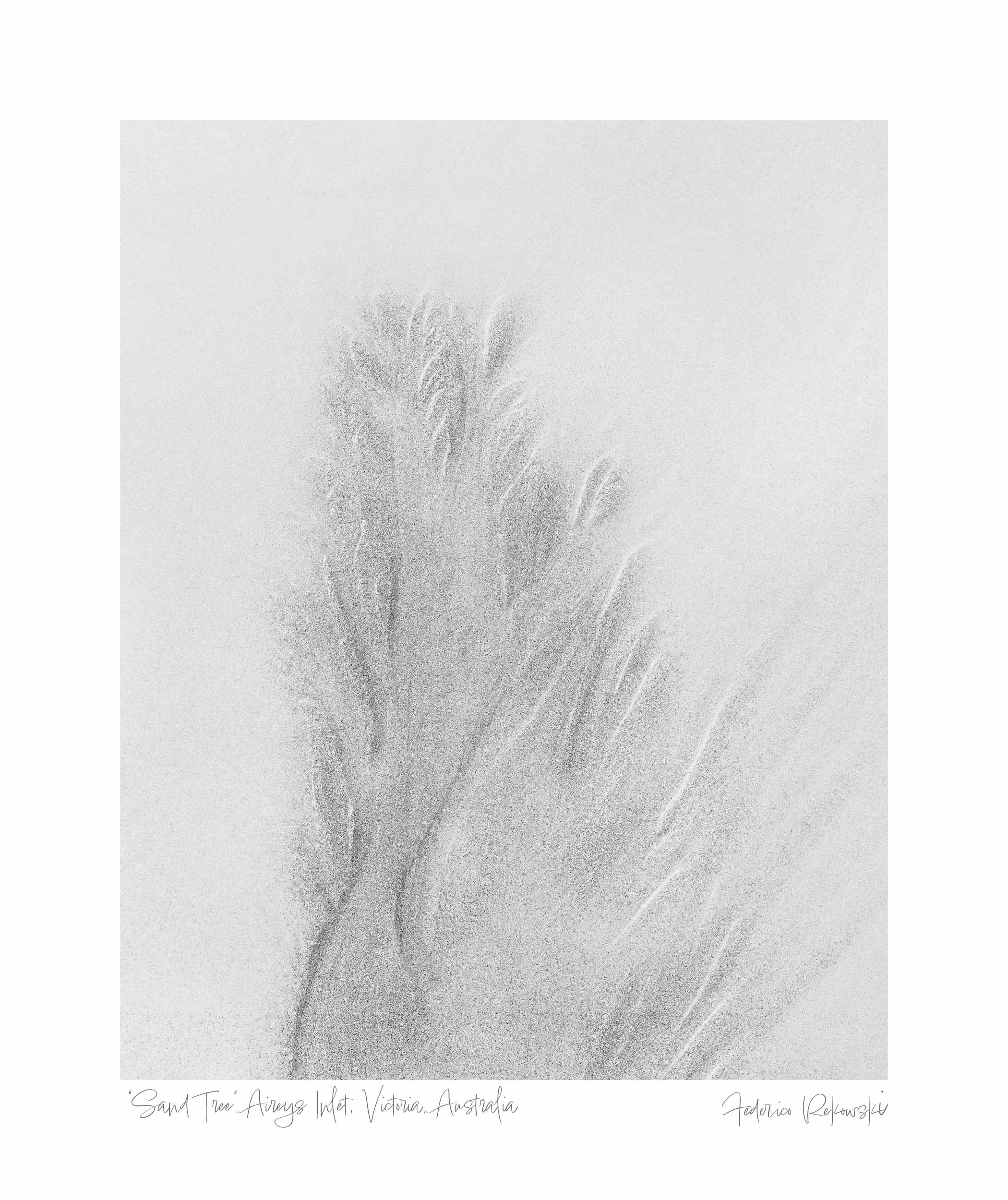 Abstract pattern in the sand resembling a white tree with detailed branches, captured in Victoria, Australia.