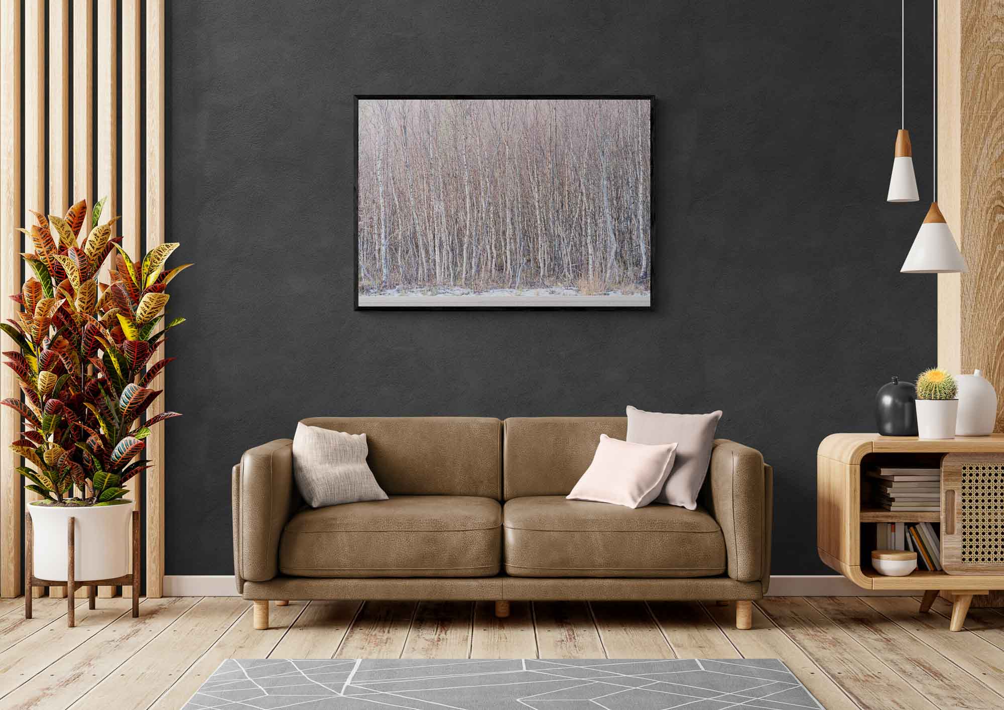 A dense birch forest in Tromsø, Norway, with slender white trunks and minimal snow on the ground, exemplifying winter's quietude.
