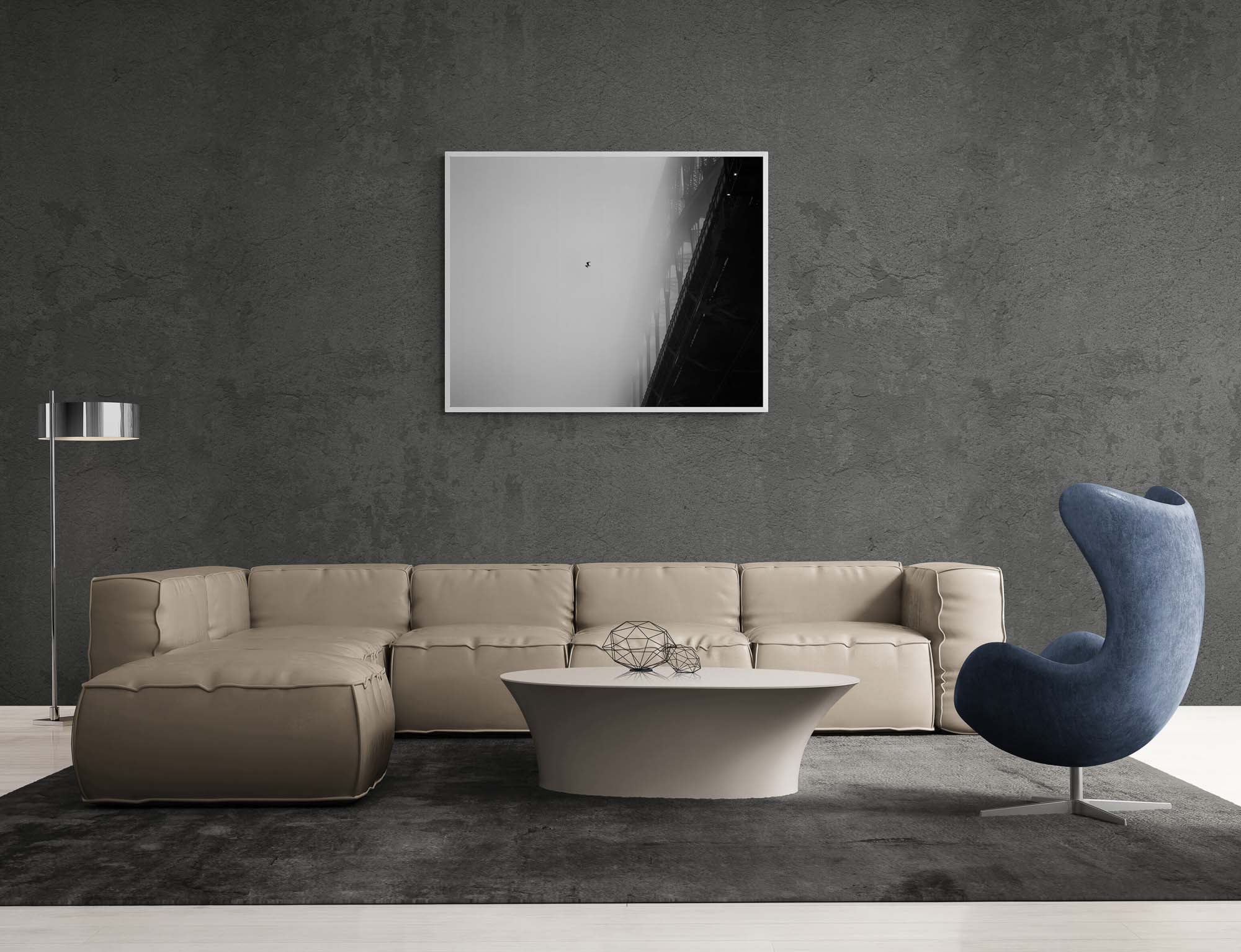 "Solitary Flight", Sydney Harbour Bridge, Australia Photo Artworks