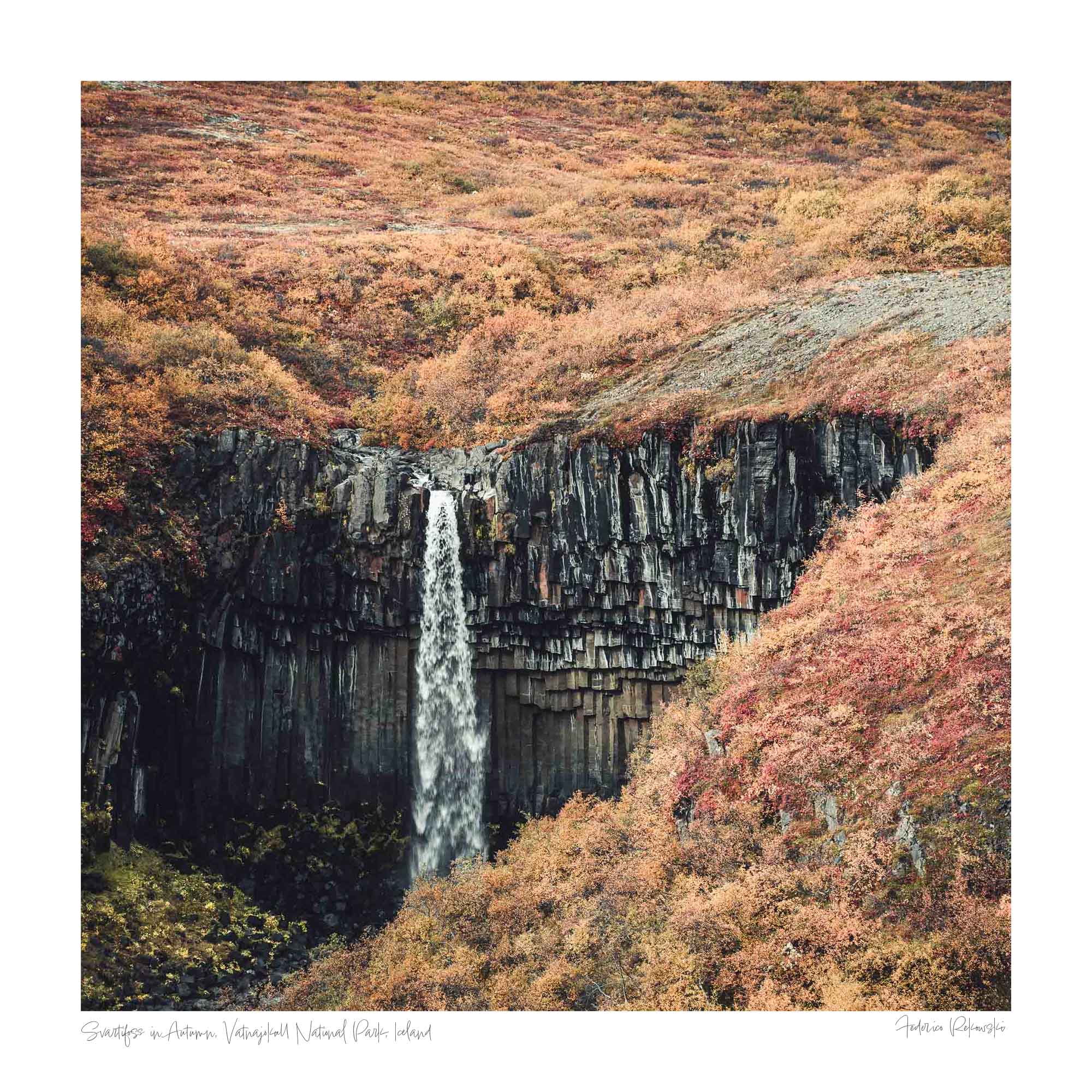 Svartifoss waterfall in Iceland, renowned for its striking basalt columns, surrounded by the colorful foliage of autumn.