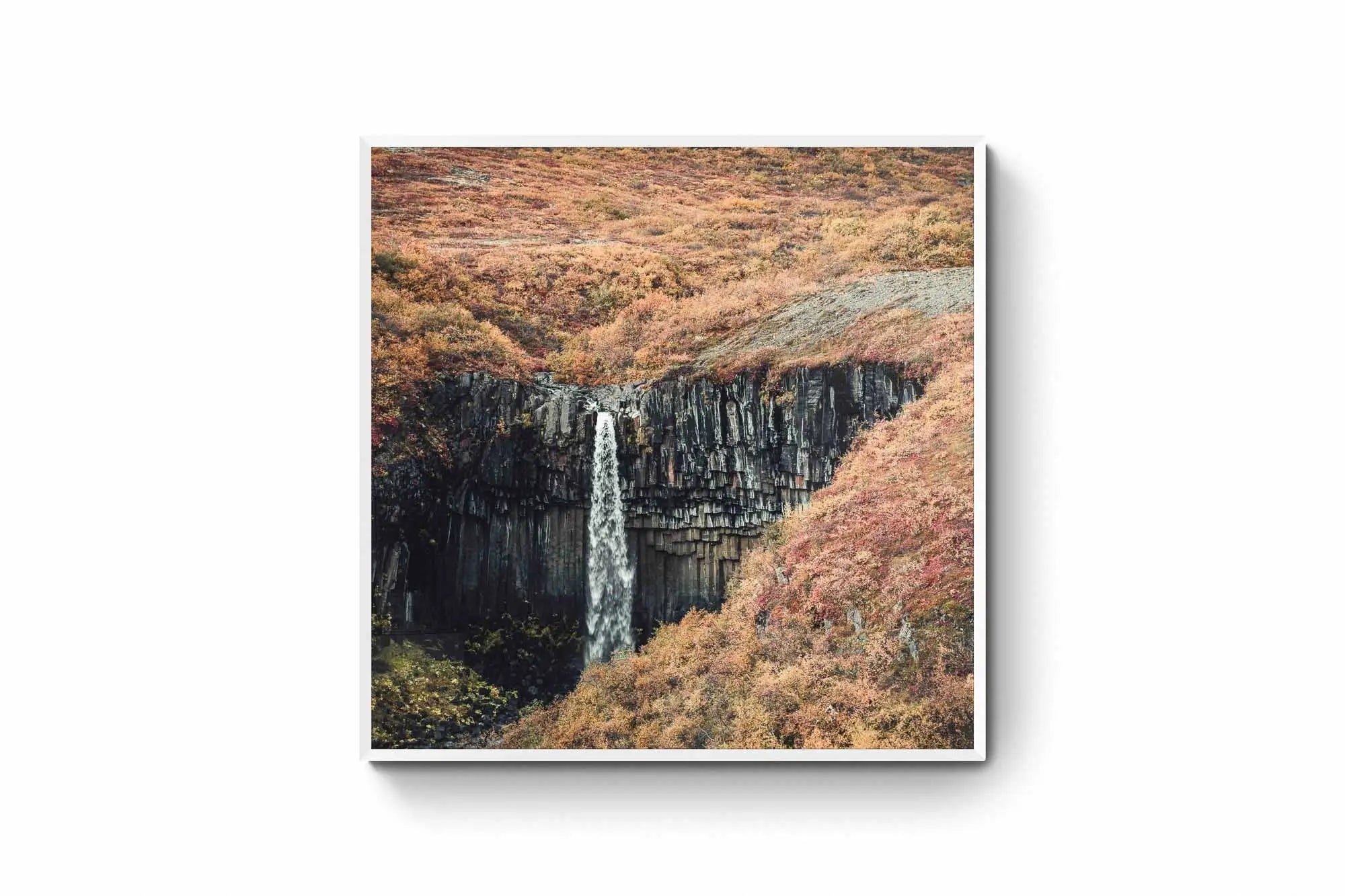 Svartifoss waterfall in Iceland, renowned for its striking basalt columns, surrounded by the colorful foliage of autumn.