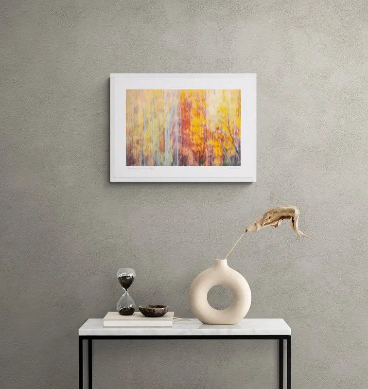 “Abstract Autumn” Queenstown, New Zealand