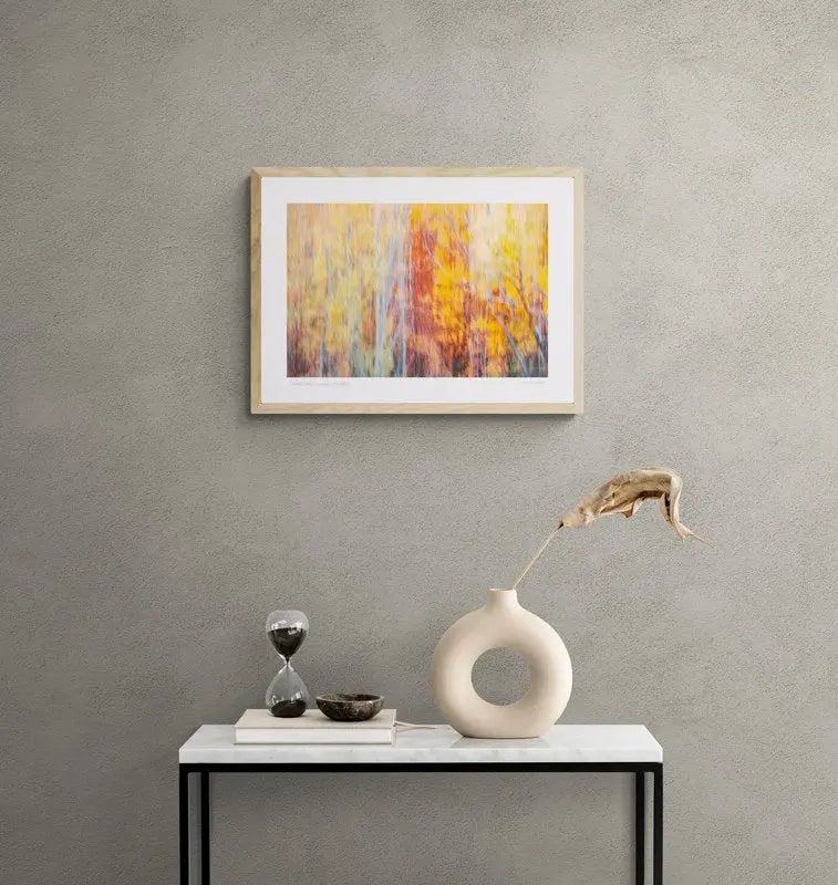 “Abstract Autumn” Queenstown, New Zealand