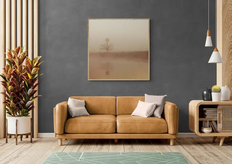 Whispers of Dawn at Richmond Lowlands, Sydney, Australia