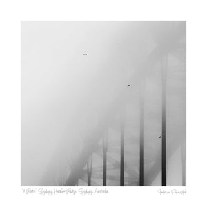"3 Birds" Sydney Harbour Bridge, Sydney, Australia (int)