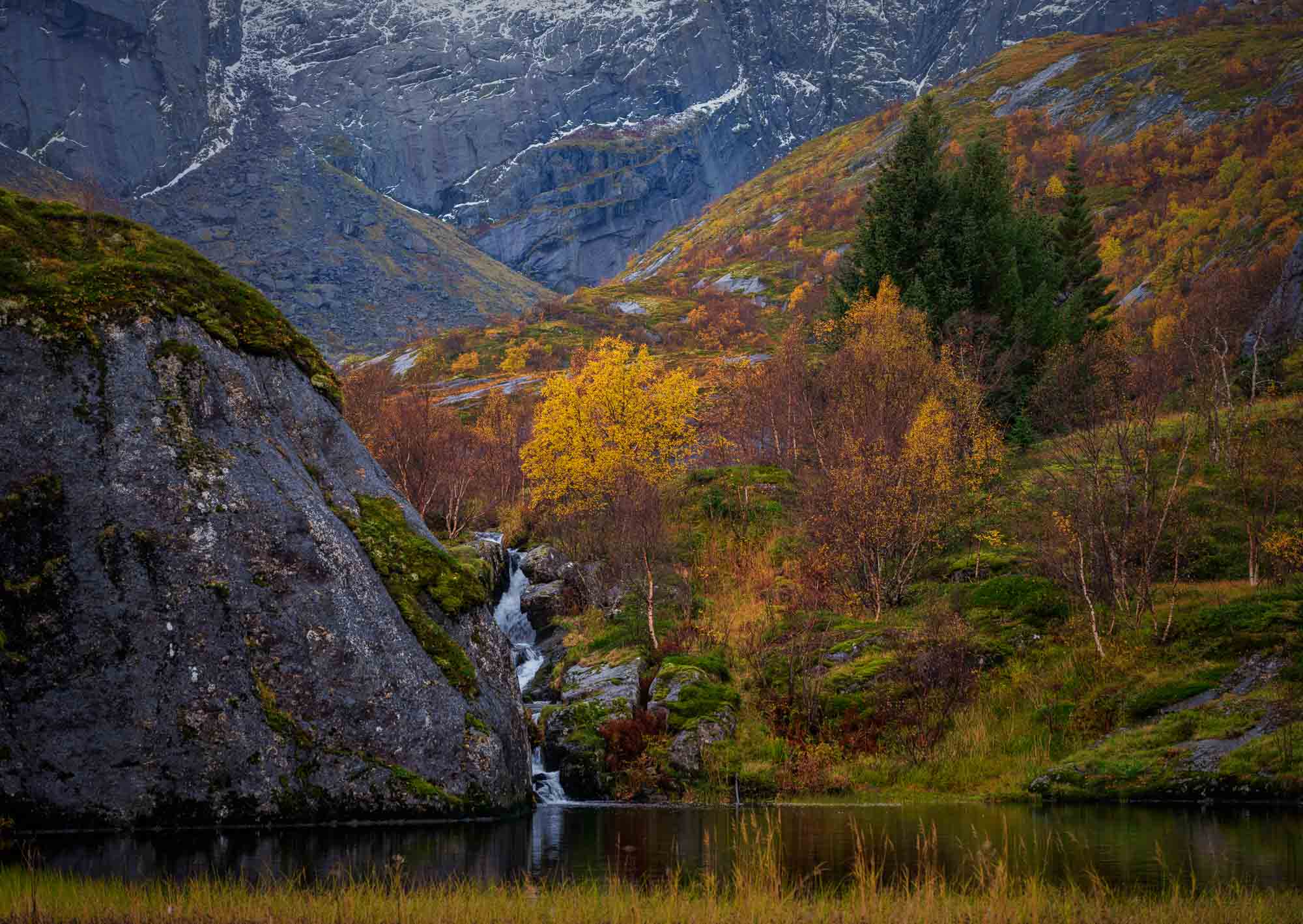 Small waterfall flowing into a pond amidst colorful autumn trees in Nusfjord, Lofoten, with rugged cliffs in the background.