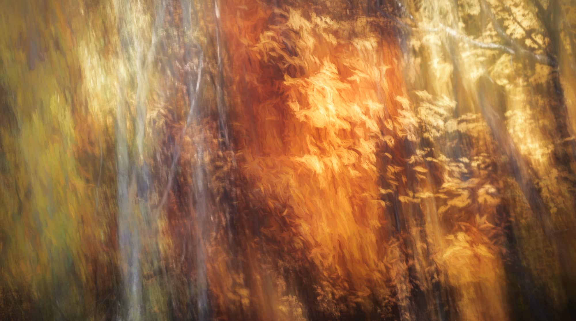 Abstract, impressionistic portrayal of autumn leaves in Queenstown, New Zealand, with a soft focus and a blend of warm and cool tones.