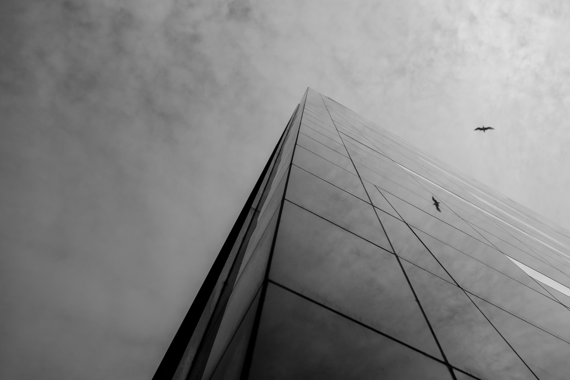 Black and white photograph of the BLOX building in Copenhagen with a bird flying overhead and reflections on the glass facade.