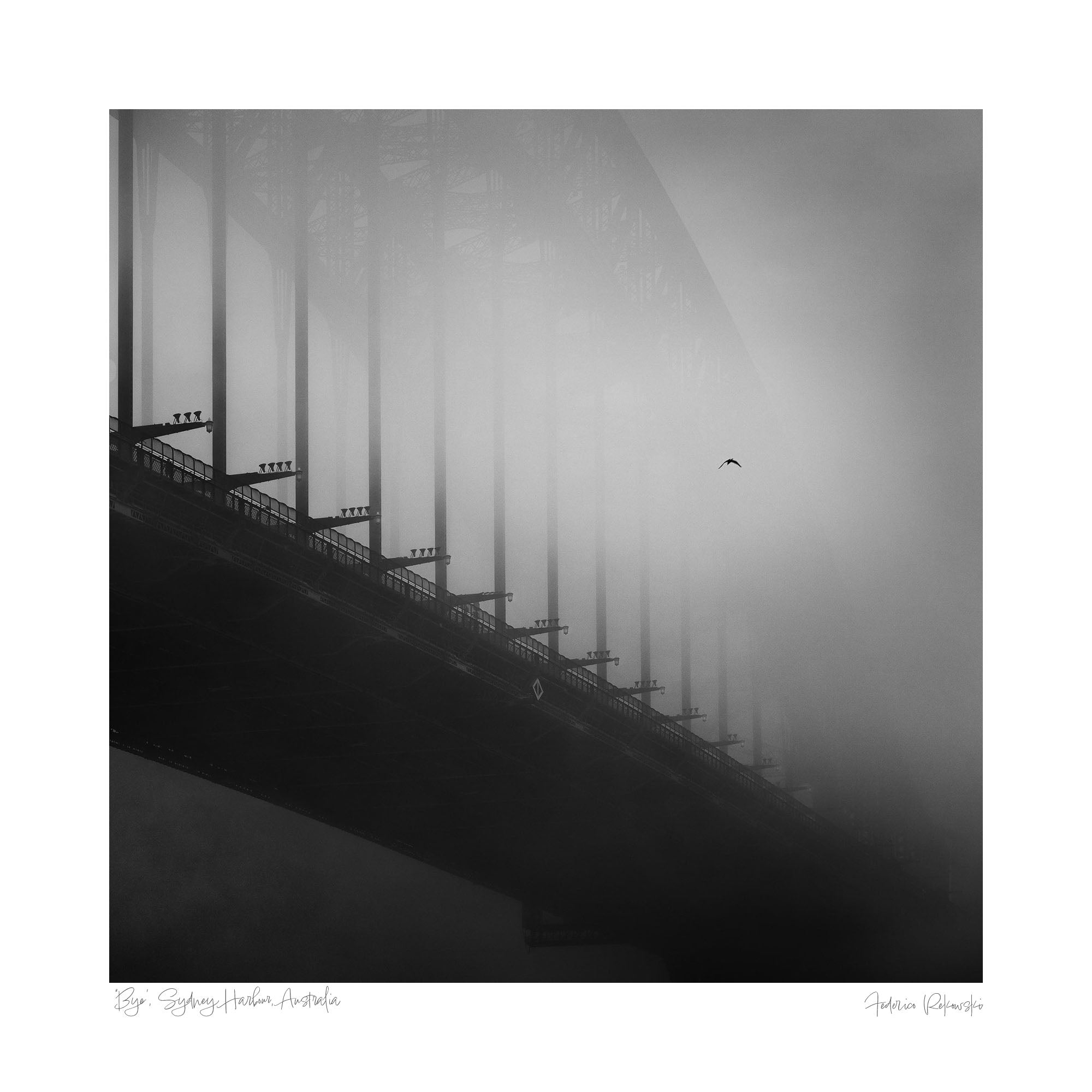 Black and white image of the Sydney Harbour Bridge enveloped in fog with a single bird flying, symbolizing solitude and mystery.