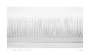 Abstract minimalist representation of a forest in Christchurch, New Zealand, with tree-like vertical lines in a gradient of white to gray.