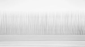 Abstract minimalist representation of a forest in Christchurch, New Zealand, with tree-like vertical lines in a gradient of white to gray.