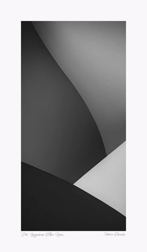 "Abstract monochrome image titled 'Ella,' resembling the gentle curves of a woman, as seen in the architectural details of the Guggenheim Bilbao."