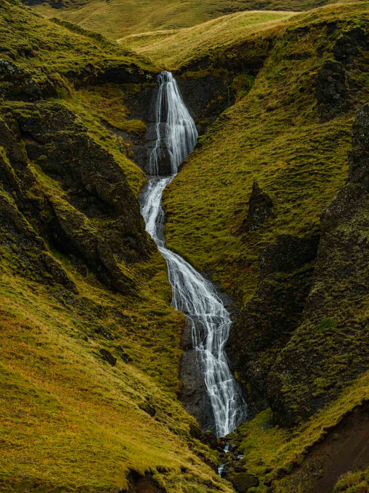 A hidden waterfall flows through the green, mossy cliffs of Fjaðrárgljúfur canyon in Iceland.