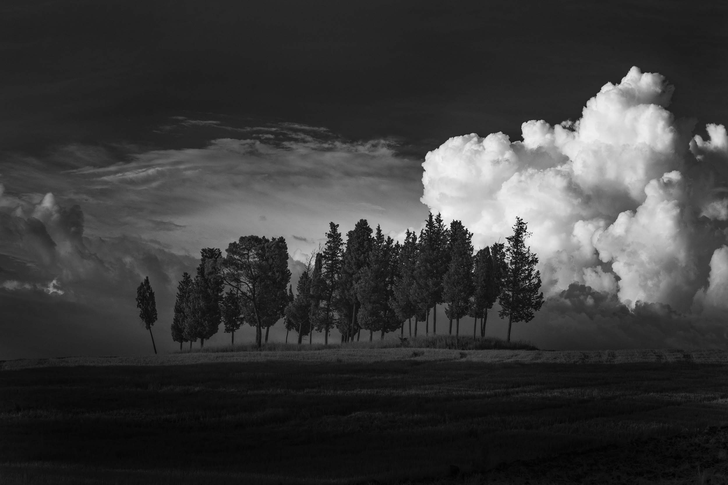 Beautiful Disarray, Tuscany, Italy