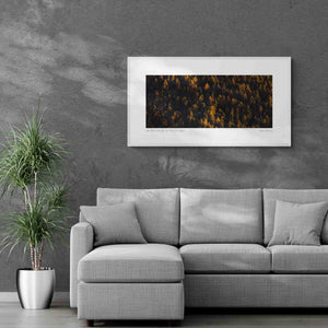 Lake Tekapo's Forest Glow, Lake Tekapo, New Zealand Photo Artworks