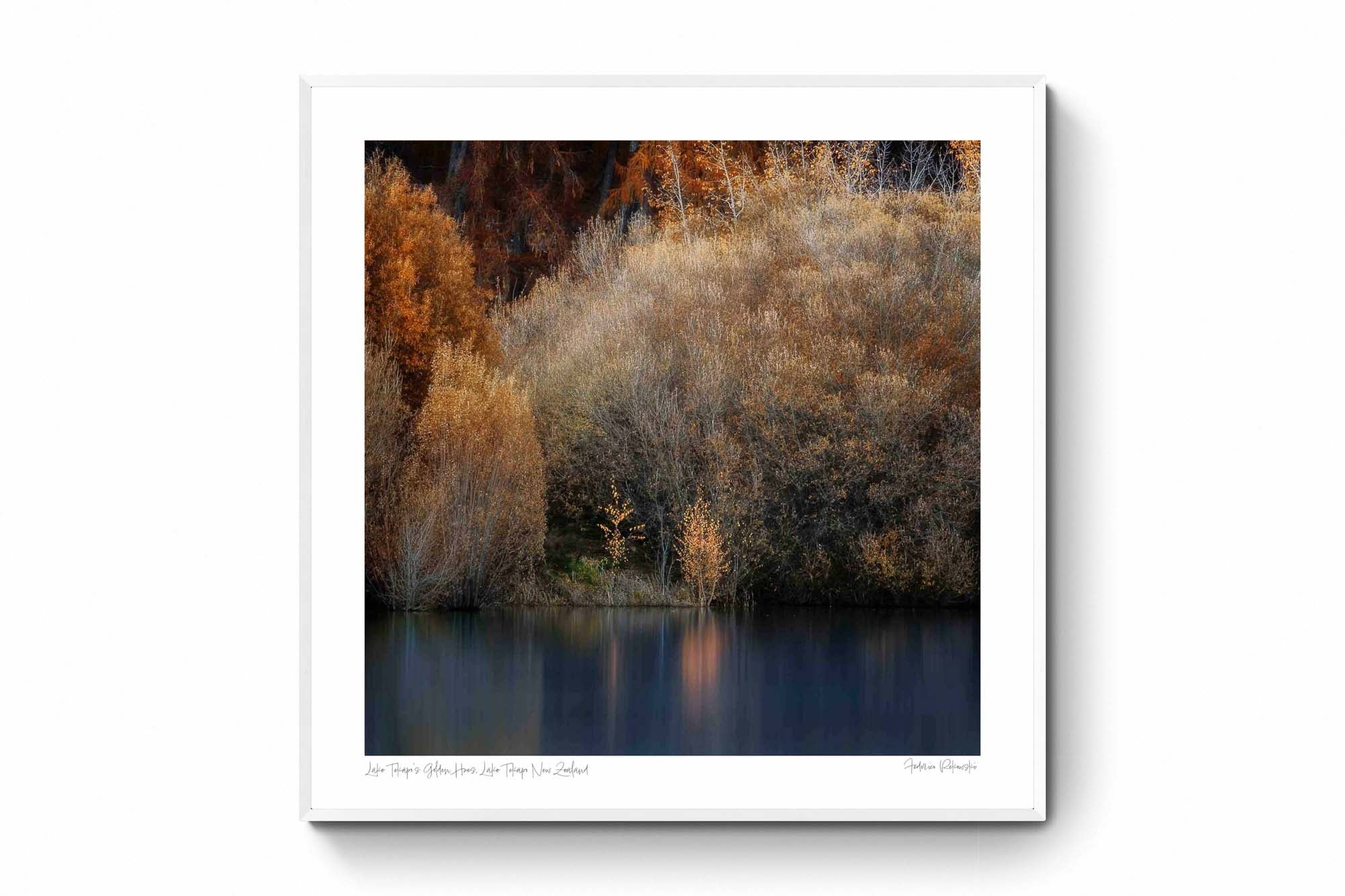 Golden autumn foliage by the peaceful shores of Lake Tekapo, New Zealand, with reflections in the calm water.
