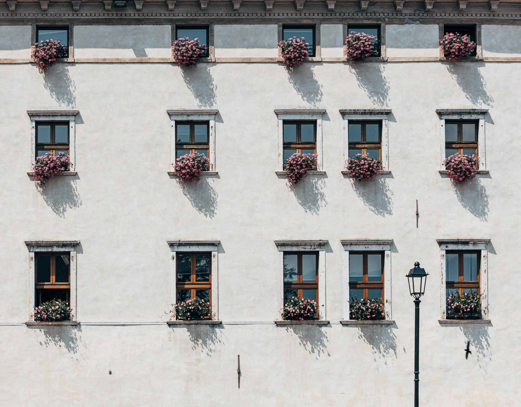 Facade of an Italian building adorned with multiple windows, each accented with vibrant pink flowers in Limone, Italy.