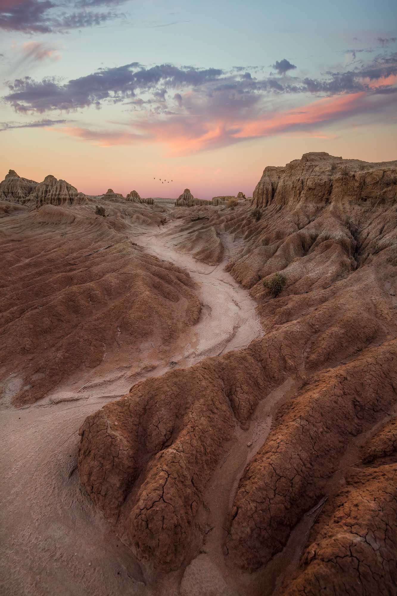 A dusty path through the eroded formations of Mungo National Park, under a sunset sky with streaks of pink and blue.