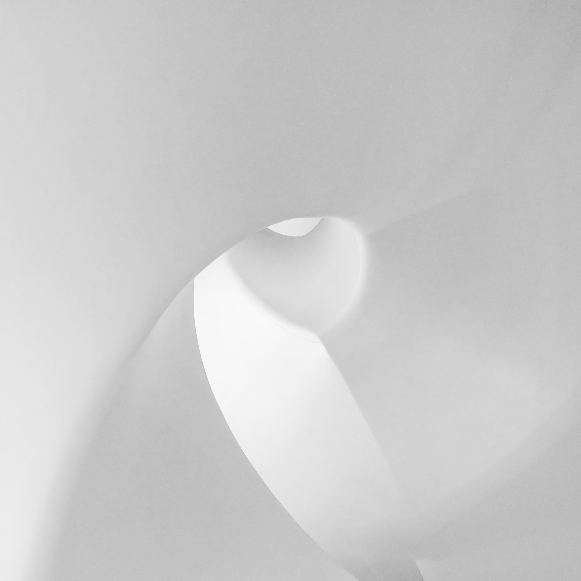 Abstract monochrome photo of soft curves and shadows within Dubai's Museum of the Future.
