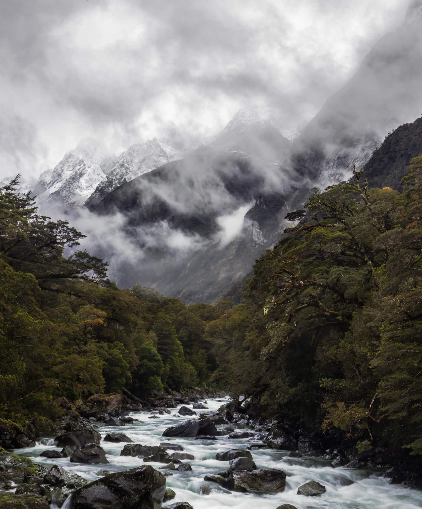 A powerful river cuts through a verdant forest with snow-covered mountains enshrouded in mist in the background at Milford Sound, New Zealand.