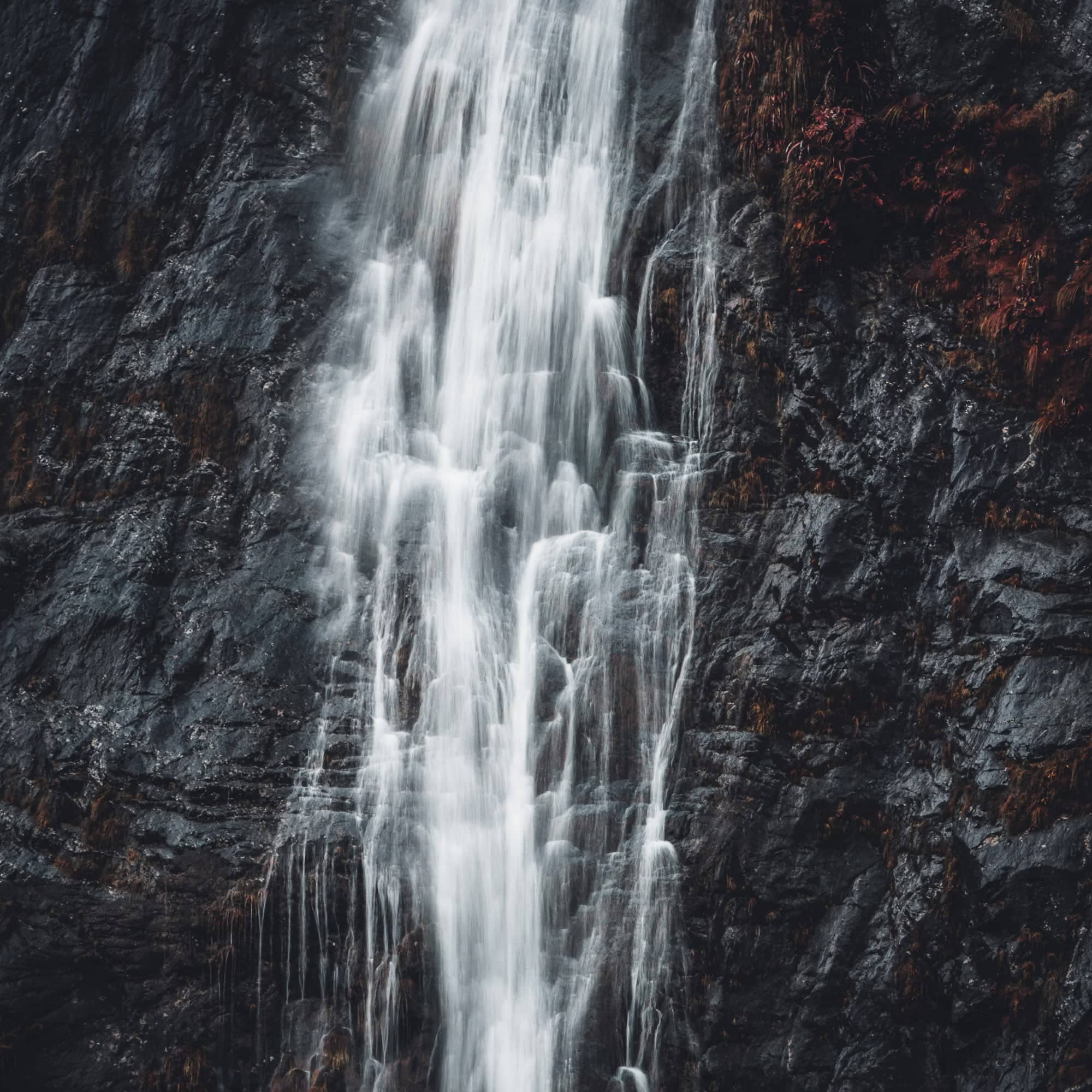 A waterfall cascades down a rugged cliff, a misty dance of water called "Rising Souls" in Milford Sound, New Zealand.