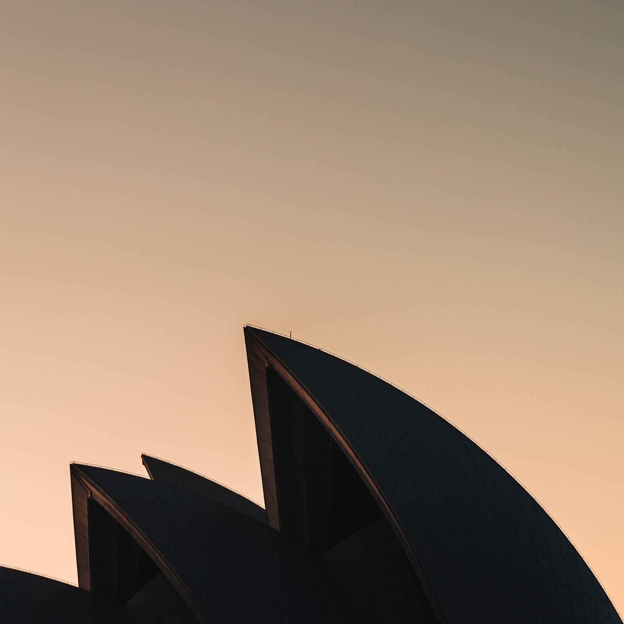 The iconic sails of the Sydney Opera House in silhouette against the warm tones of sunrise.