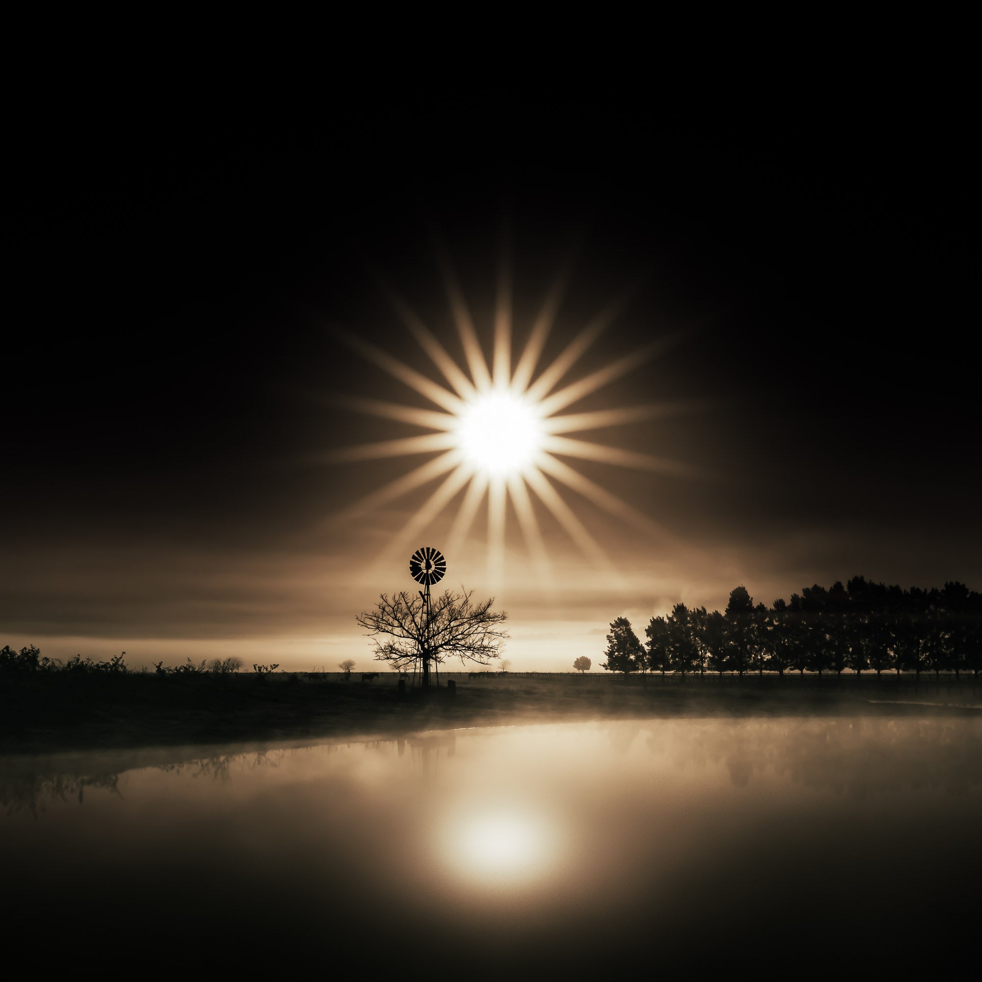 A serene sunrise with a lone tree silhouette against a bright sunburst, reflected on a calm water surface.