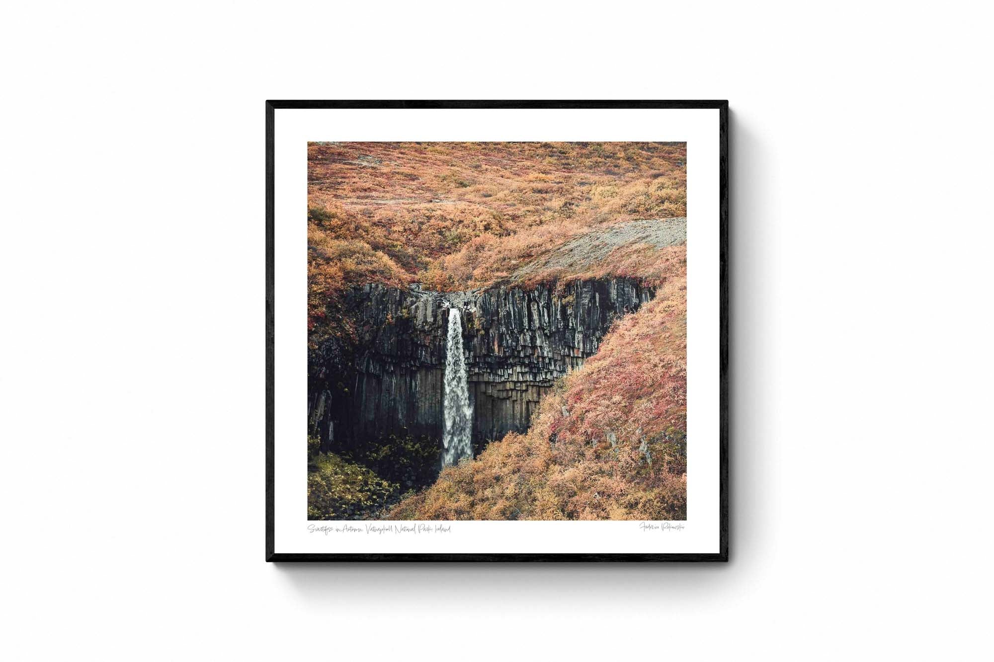 Svartifoss waterfall in Iceland, renowned for its striking basalt columns, surrounded by the colorful foliage of autumn.