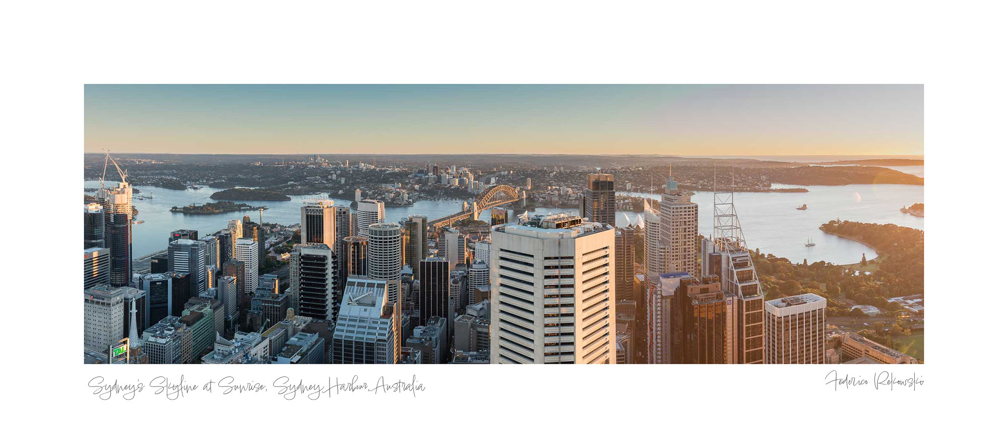 Panoramic view of Sydney Harbour at sunrise, with sunlight bathing the cityscape and water in golden hues.