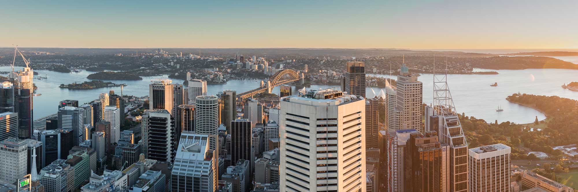 Panoramic view of Sydney Harbour at sunrise, with sunlight bathing the cityscape and water in golden hues.