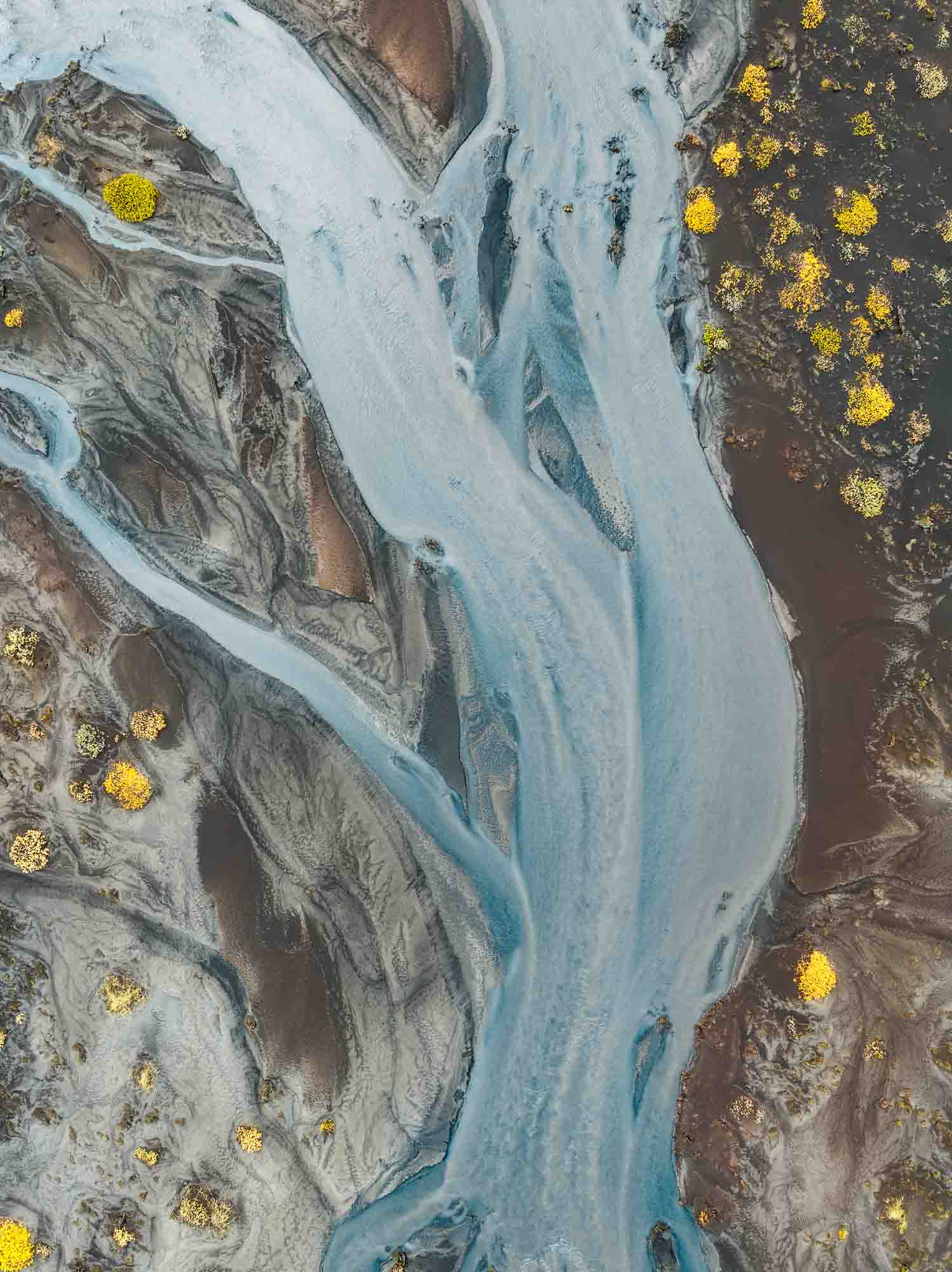 Aerial photo of a ghostly pale blue river snaking through the darker earth in Iceland, with patches of bright yellow flora.