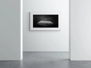 "Black and white image of an isolated island in San Sebastian, Spain, with radiant white foliage under a dark sky."