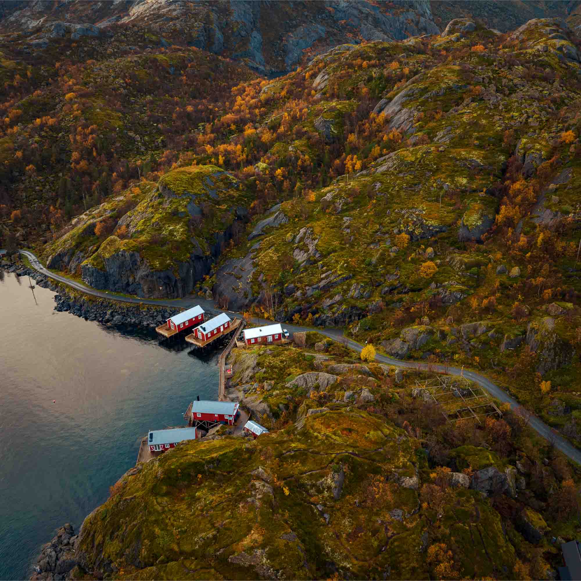 Aerial view of traditional red Norwegian cabins by the rocky shore of Nusfjord, Lofoten, amidst autumn-colored vegetation.