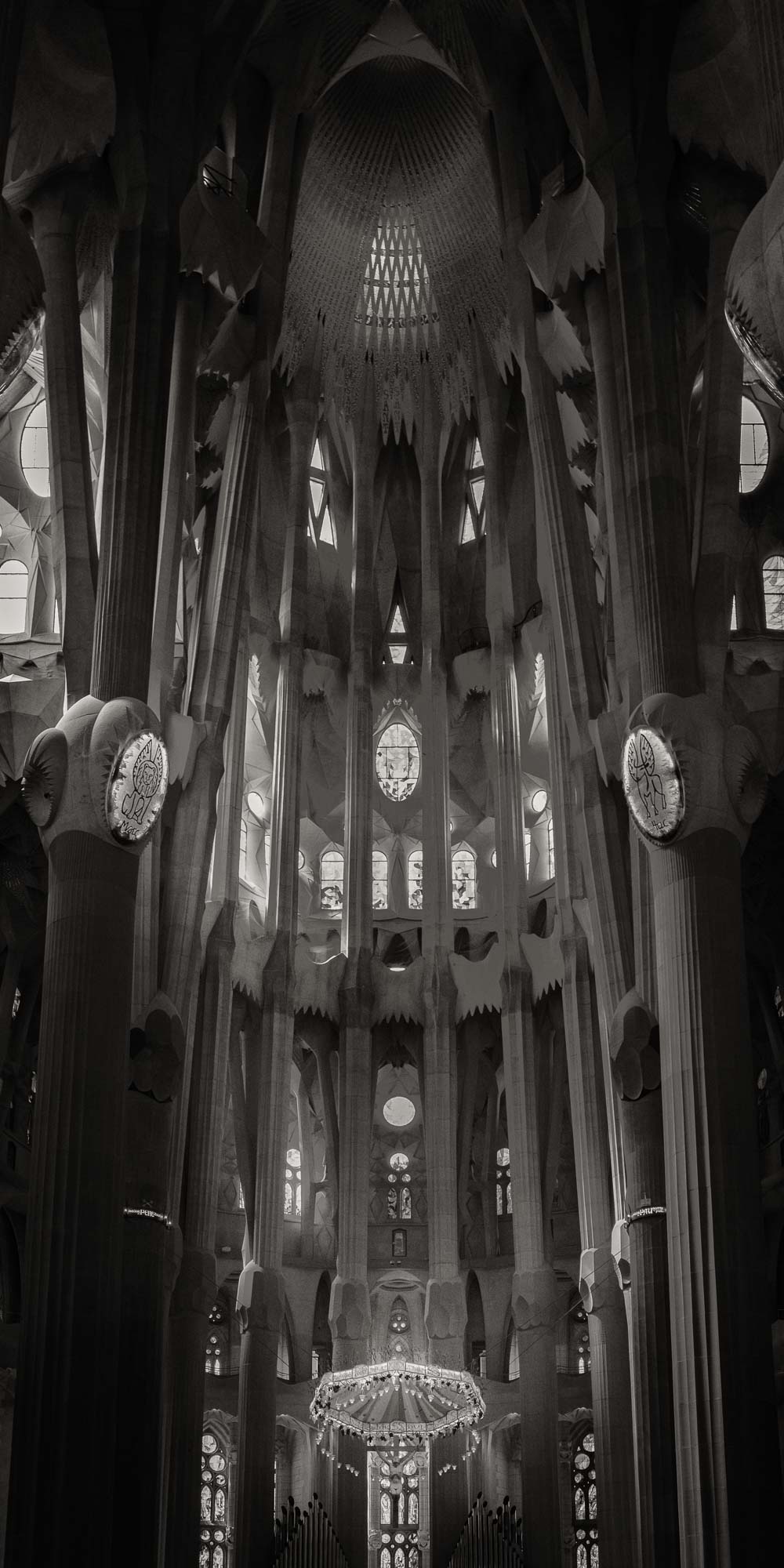 "Black and white interior view of La Sagrada Familia's columns and ceiling details, capturing the play of light and shadow."