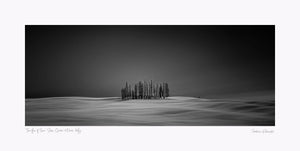 Black and white photograph of a group of cypress trees in San Quirico d’Orcia, Italy, with smooth snowdrifts creating a flowing effect around them.