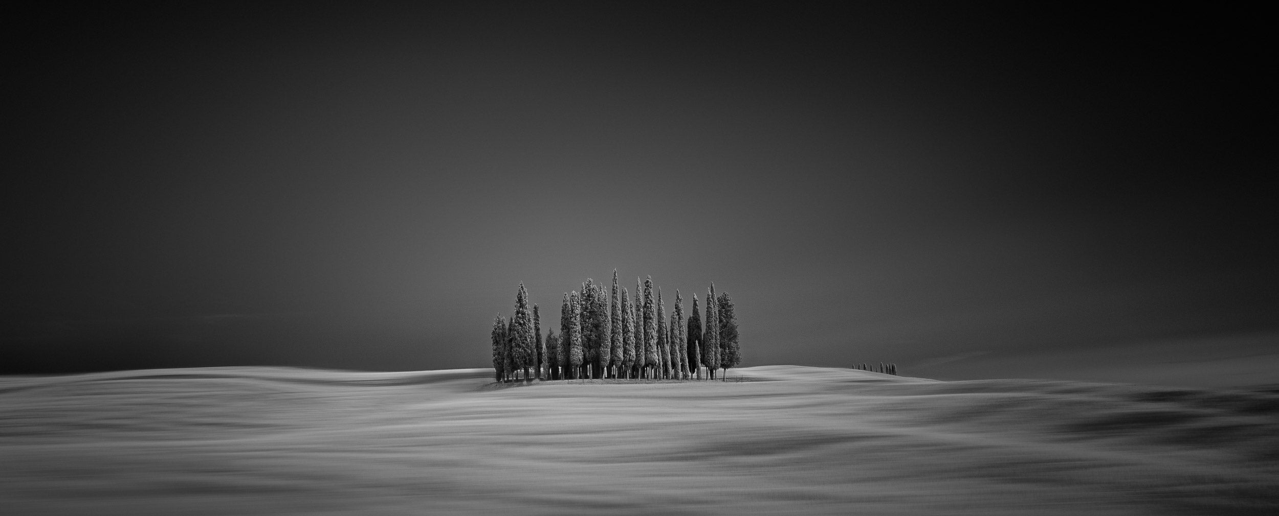 Black and white photograph of a group of cypress trees in San Quirico d’Orcia, Italy, with smooth snowdrifts creating a flowing effect around them.