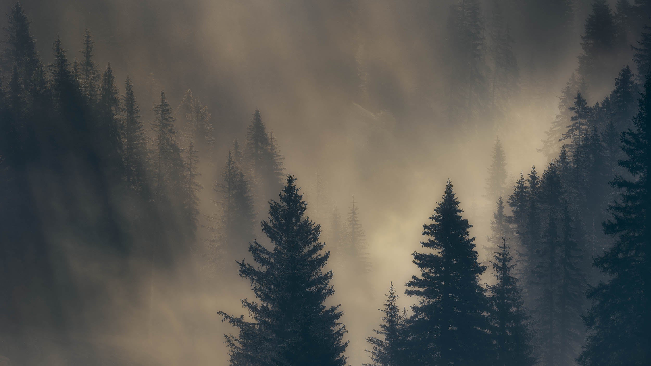 Whispering Forest, Alpe DI Suisi, Italy