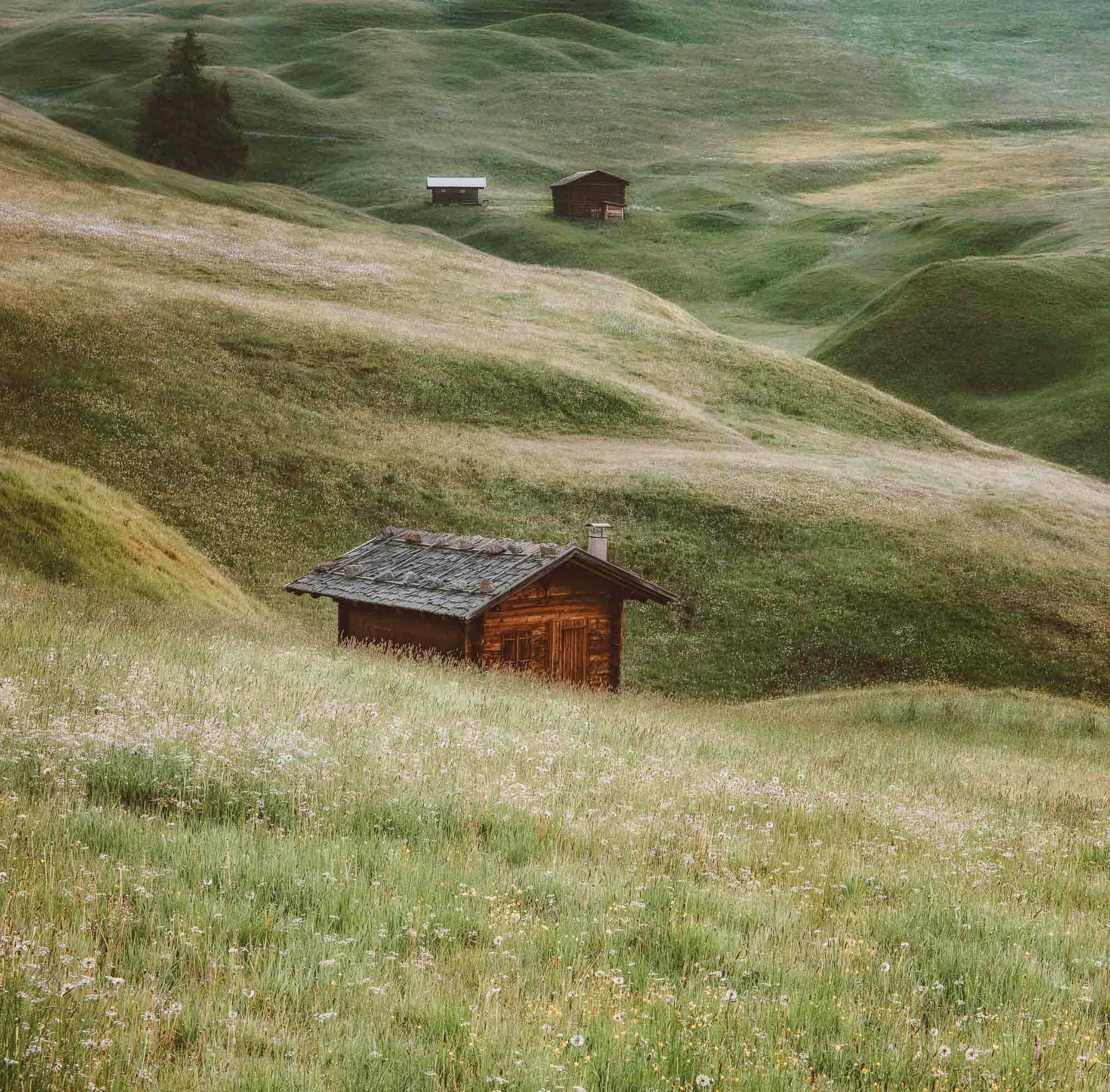 Wooden chalets, Alpe di Siusi, Dolomites, Italy