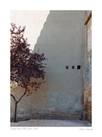A single tree with autumn-colored leaves beside a large, plain wall with small openings, in Zaragoza, Spain.
