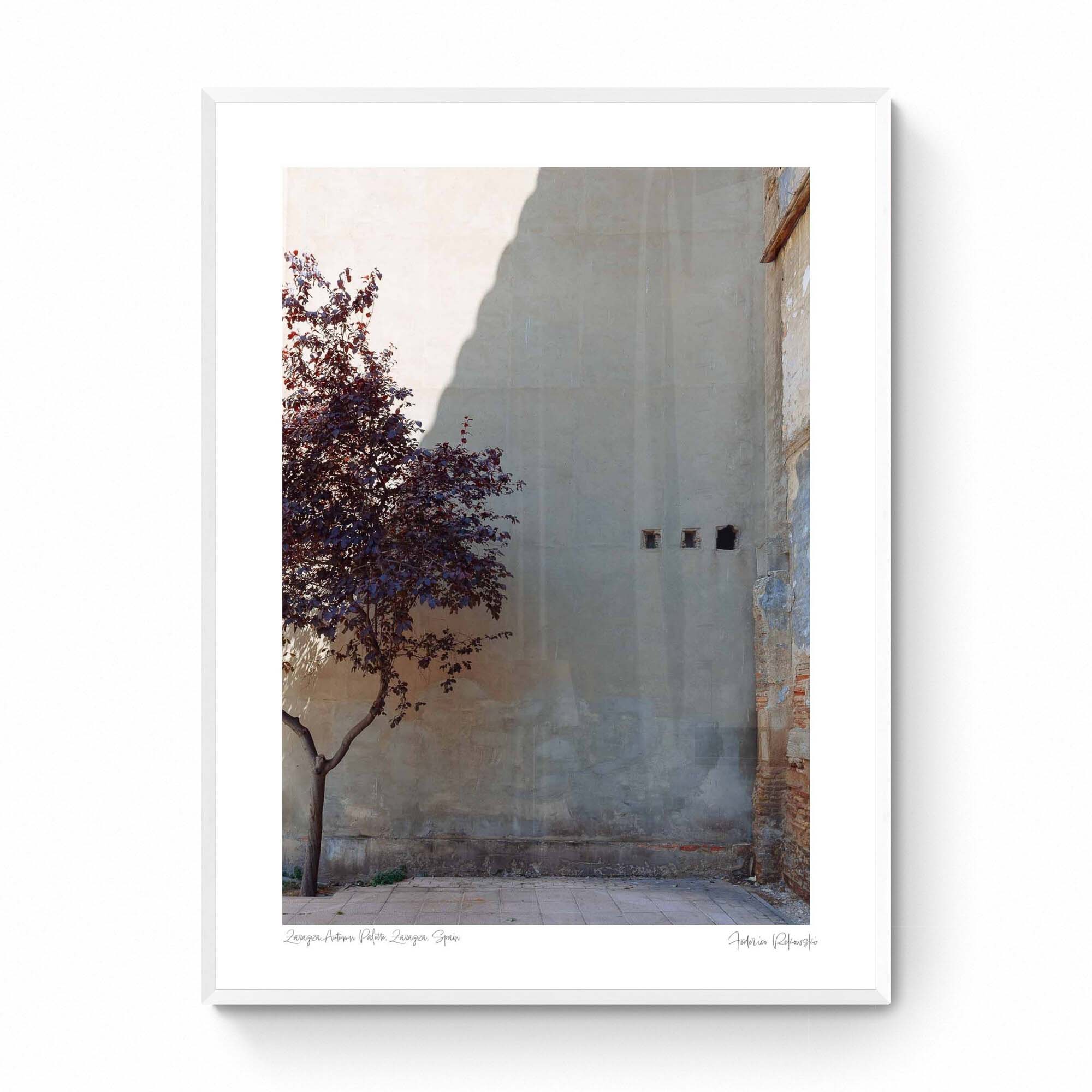 A single tree with autumn-colored leaves beside a large, plain wall with small openings, in Zaragoza, Spain.