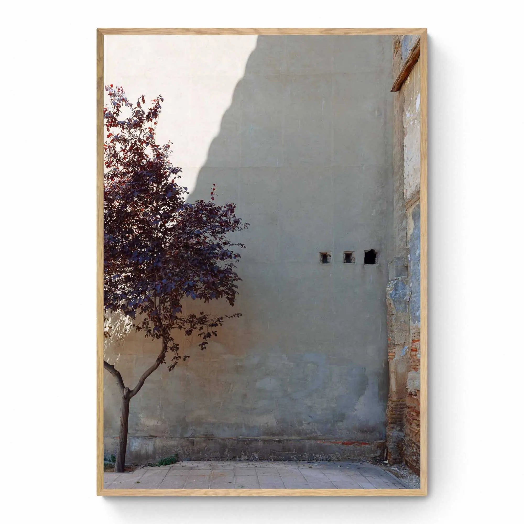 A single tree with autumn-colored leaves beside a large, plain wall with small openings, in Zaragoza, Spain.