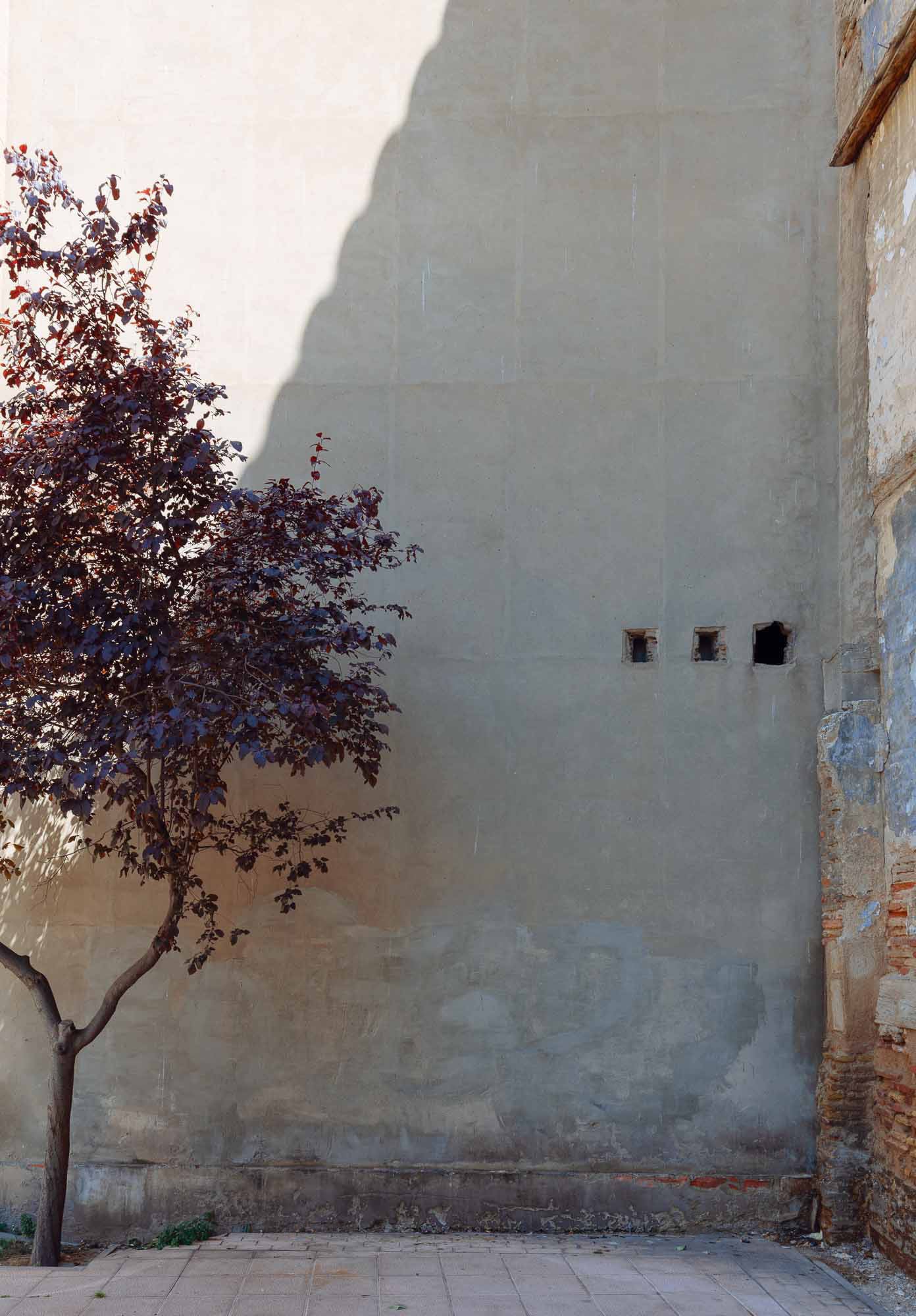 A single tree with autumn-colored leaves beside a large, plain wall with small openings, in Zaragoza, Spain.