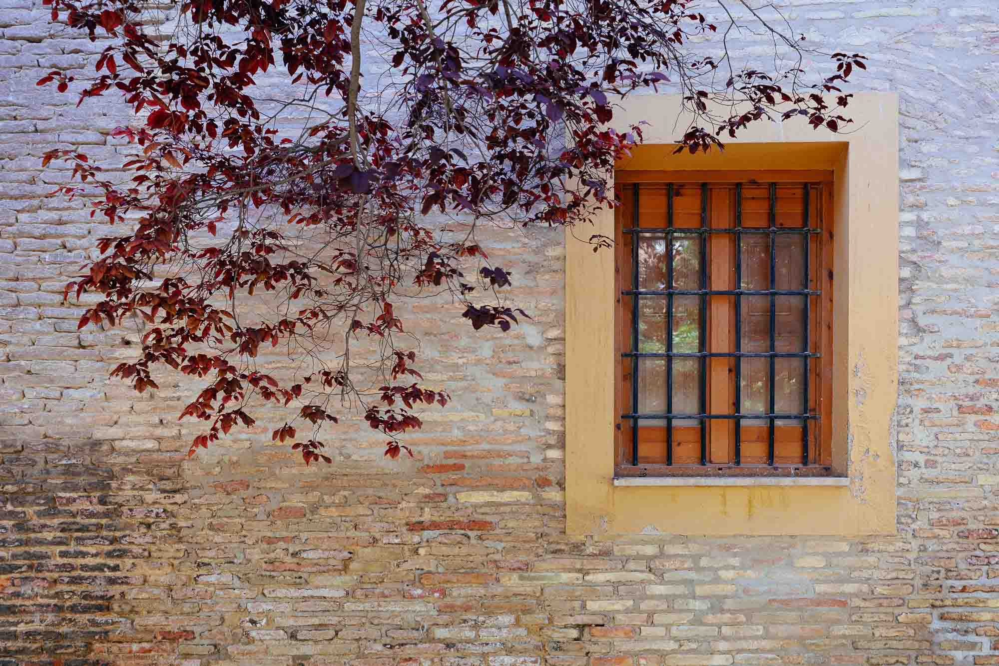 A rustic window with a yellow frame set in an old brick wall, adorned by autumn leaves, in Zaragoza, Spain.