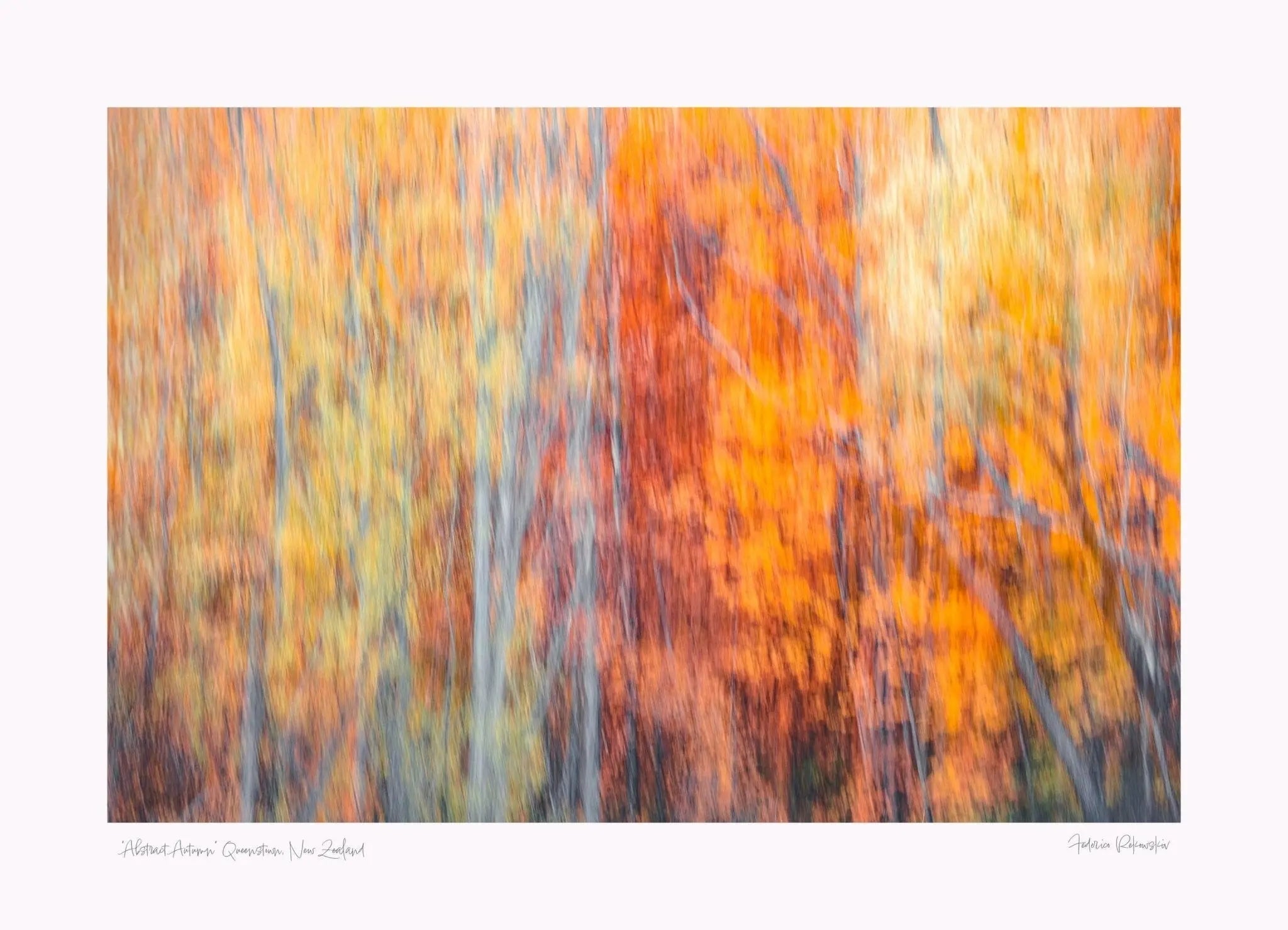 “Abstract Autumn” Queenstown, New Zealand (Int)