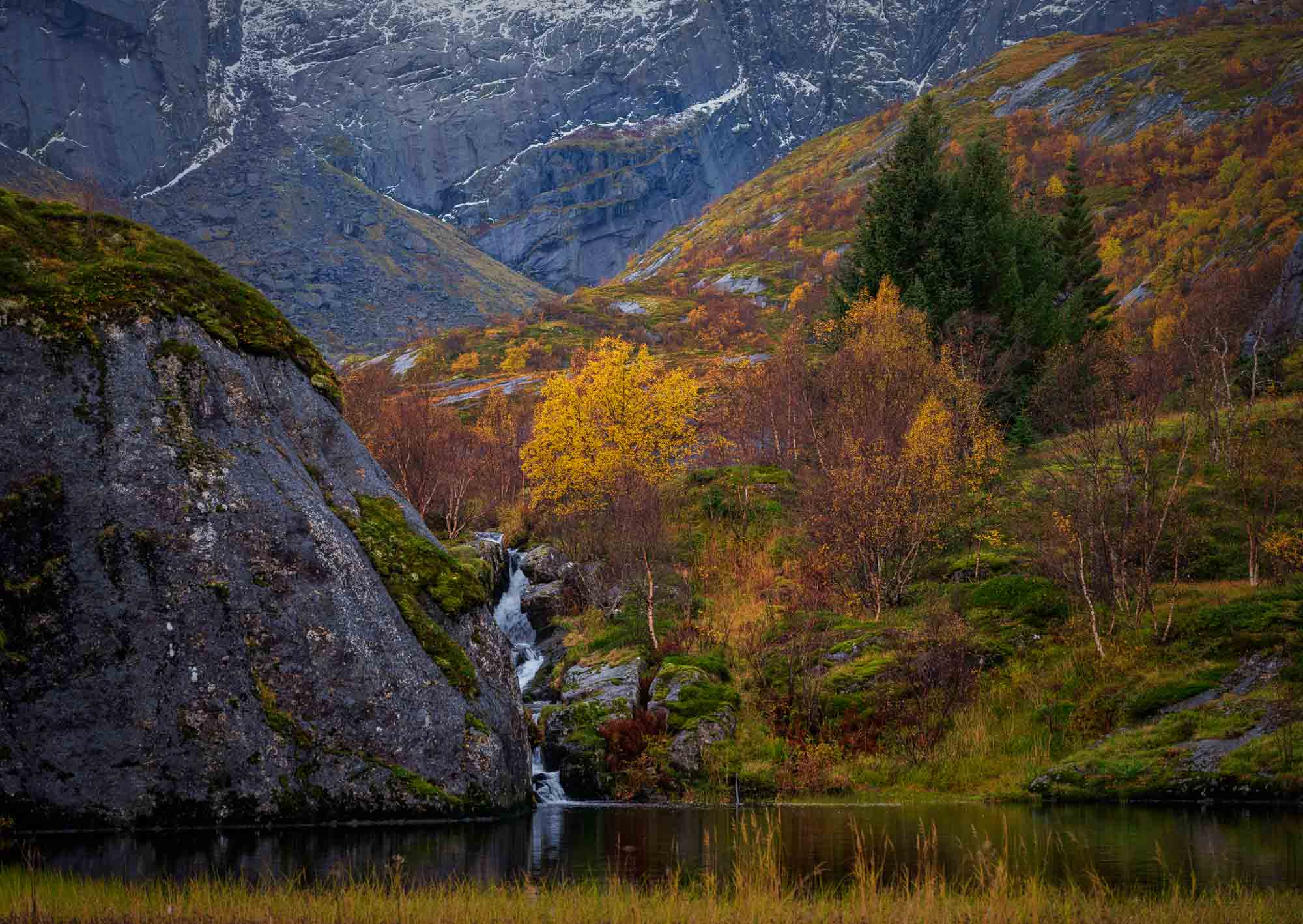 Autumn Hues of Nusfjord Lofoten, Norway (Int)
