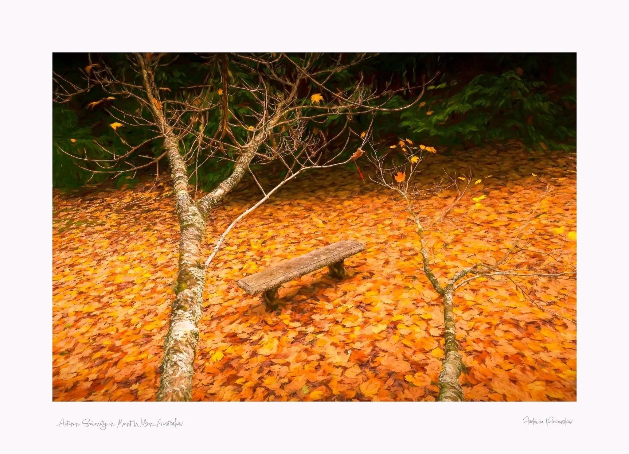 Autumn Serenity, Mount Wilson, Sydney Australia (Int)